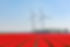 Flower Fields