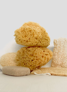 Natürliche Badeschwämme