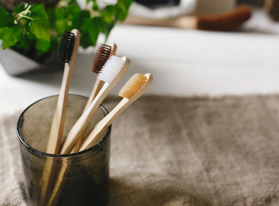 Ahşap Diş Fırçaları