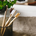 Wood Toothbrushes