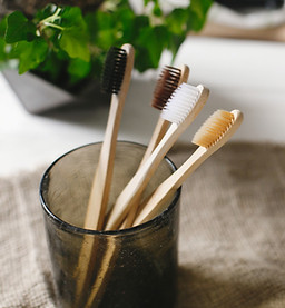 Wood Toothbrushes