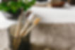 Wood Toothbrushes