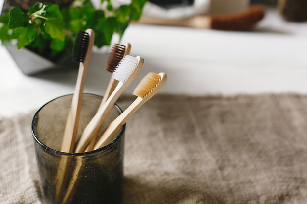 Wood Toothbrushes
