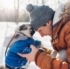 Holiday Safety Tips for Pets