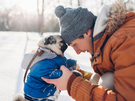 Ayurveda in Veterinary Medicine