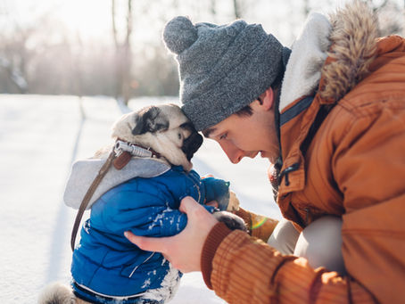 Ma che faccio lo compro il cappottino a Fido?