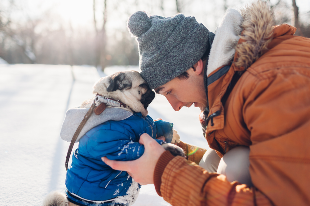 Mann mit Jacke steht mit seinem Hund mit Jacke im Schnee