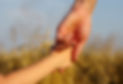 Holding Hands Outdoors