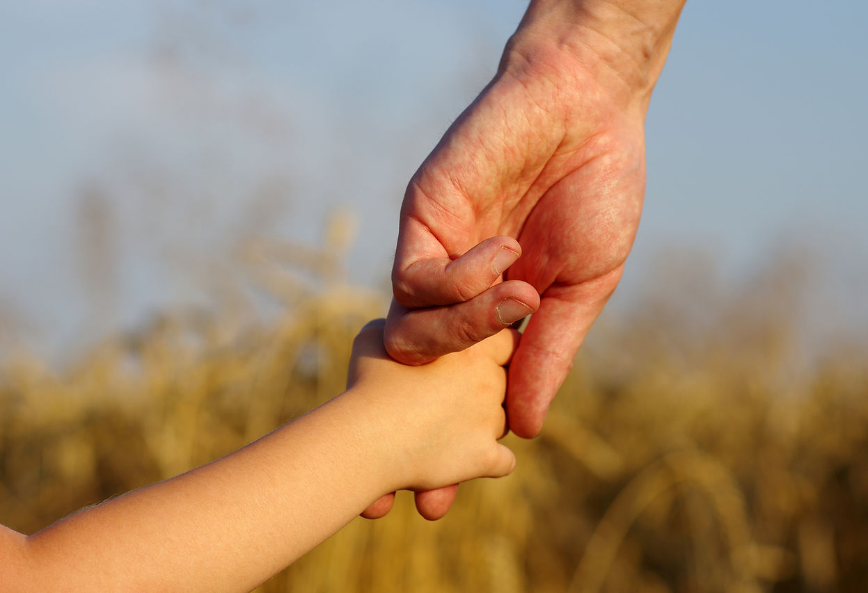 Holding Hands Outdoors