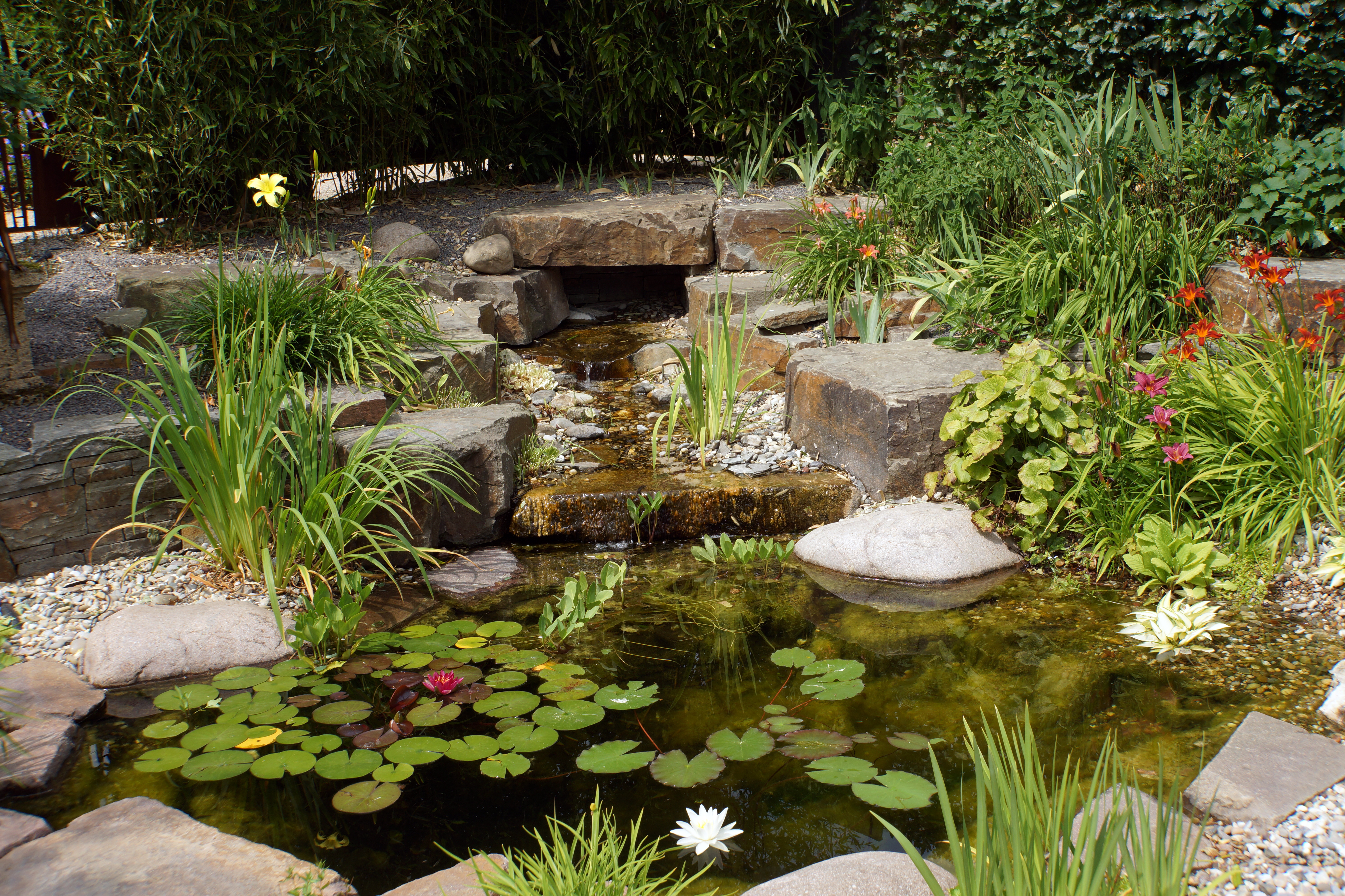 Water Garden Design