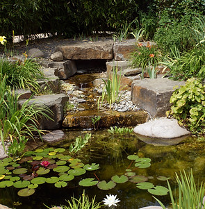Residential Garden