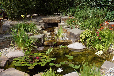 Residential Garden