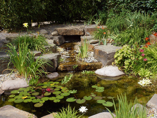 Gardens For Wellbeing
