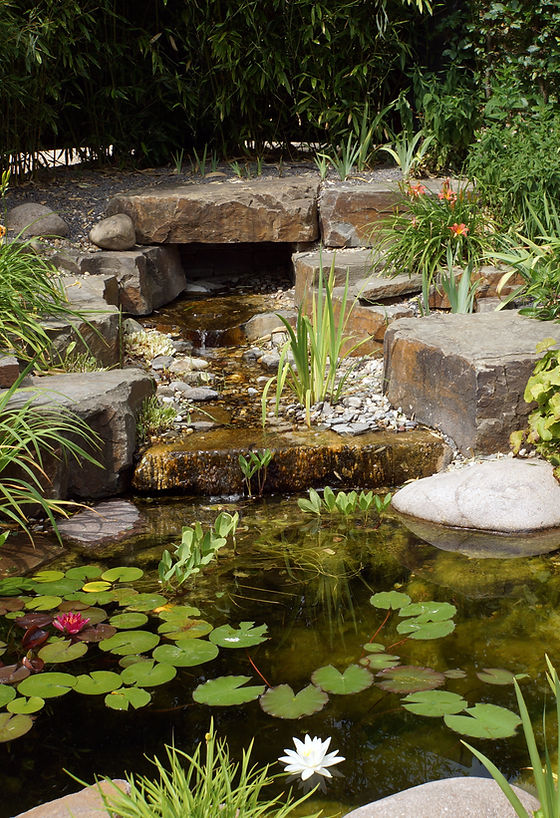 Residential Garden