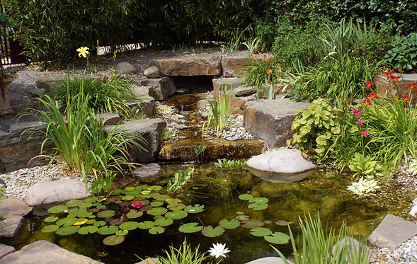 koi pond, water falls