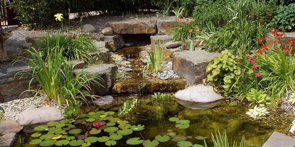 Finding an Angle at Chelsea with Mandy Bradshaw - The Chatty Gardener