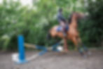 A rider and a horse are jumping over a low obstacle in an outdoor arena
