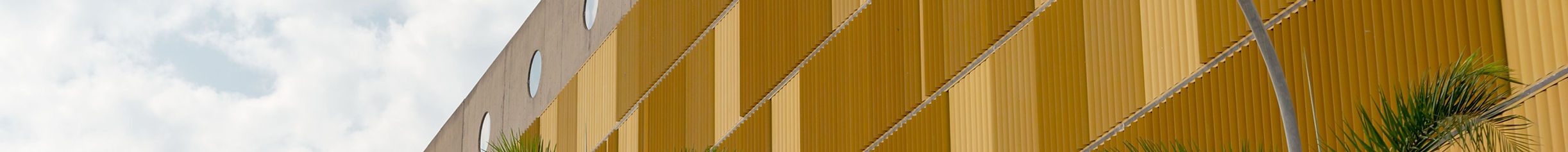 parede amarelo