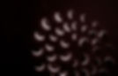 Lunar Eclipse