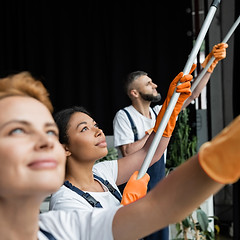Team Cleaning Widows