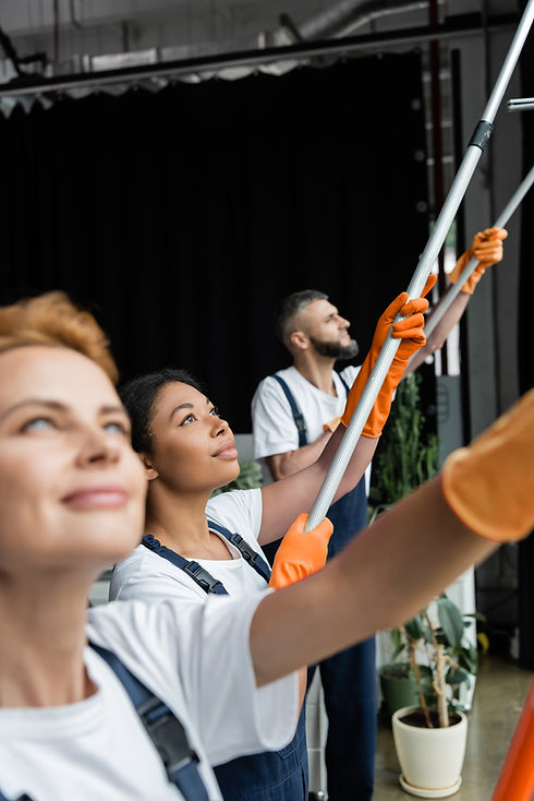 Team Cleaning Windows