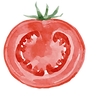 Aquarell-Tomatenscheibe