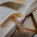 5 livros que valem cada minuto do seu tempo