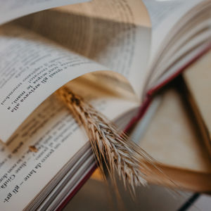 Remerciements pour la Générosité de Madame Falbo