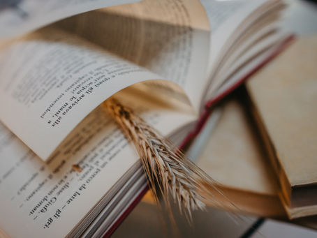 Is it true, reading fiction and historical novels adds to your level of creativity?