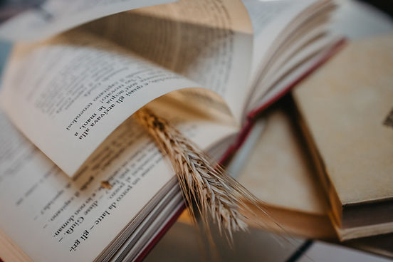 Livro