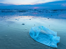 "The Impact of Single-Use Plastics on the Environment and Ways to Reduce Their Use":