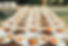 Plates of Mediterranean Food