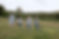 Marcher dans la nature