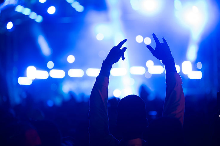 Concert Audience Silhouette