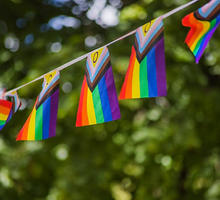 Rainbow Flags