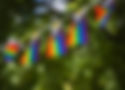 Rainbow Flags