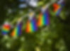 Several LGBTQ+ Pride Flags