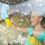 Cleaning the Windows