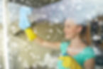 Cleaning the Windows
