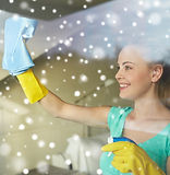 Cleaning the Windows