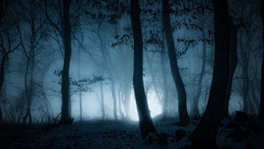 Una notte particolare
