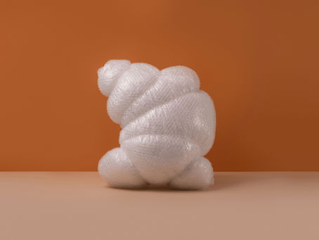 Biodegradable Packaging Foams