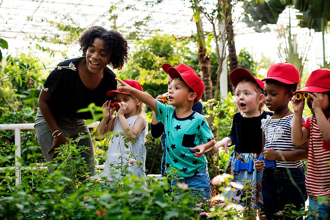 Visite de jardinage écologique