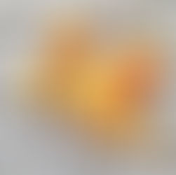 Top 10 Nutrients to Support a Strong Immune System