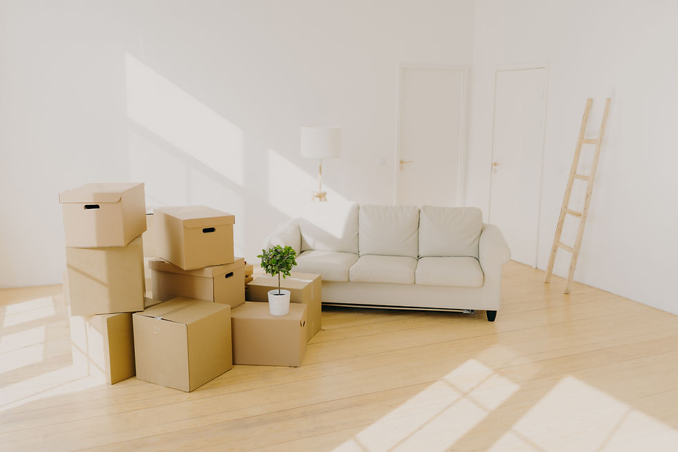 Cardboard moving boxes stacked in a bright living room near a white couch and potted plant
