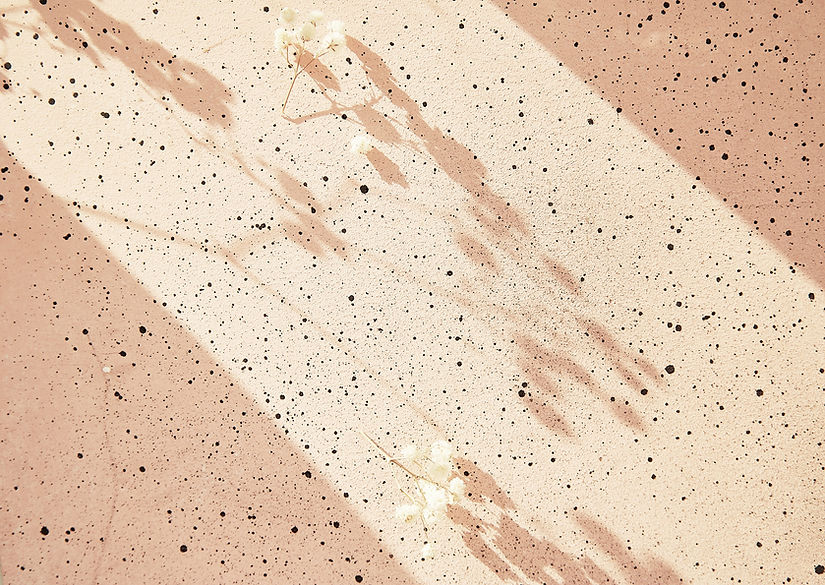 Speckled Shadow Play