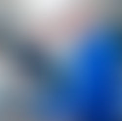 The Apprentice Appellation