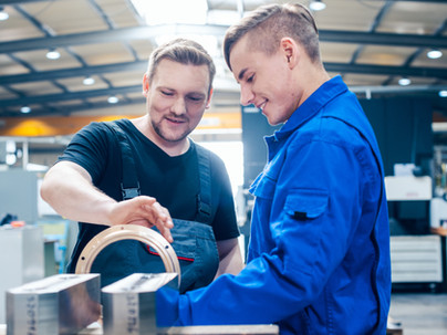 Development of apprenticeships and dismissal