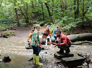 Outdoor Group Activity