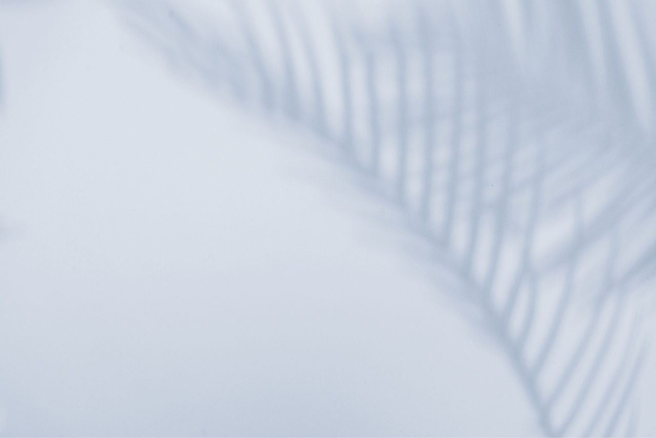 Ombre végétale